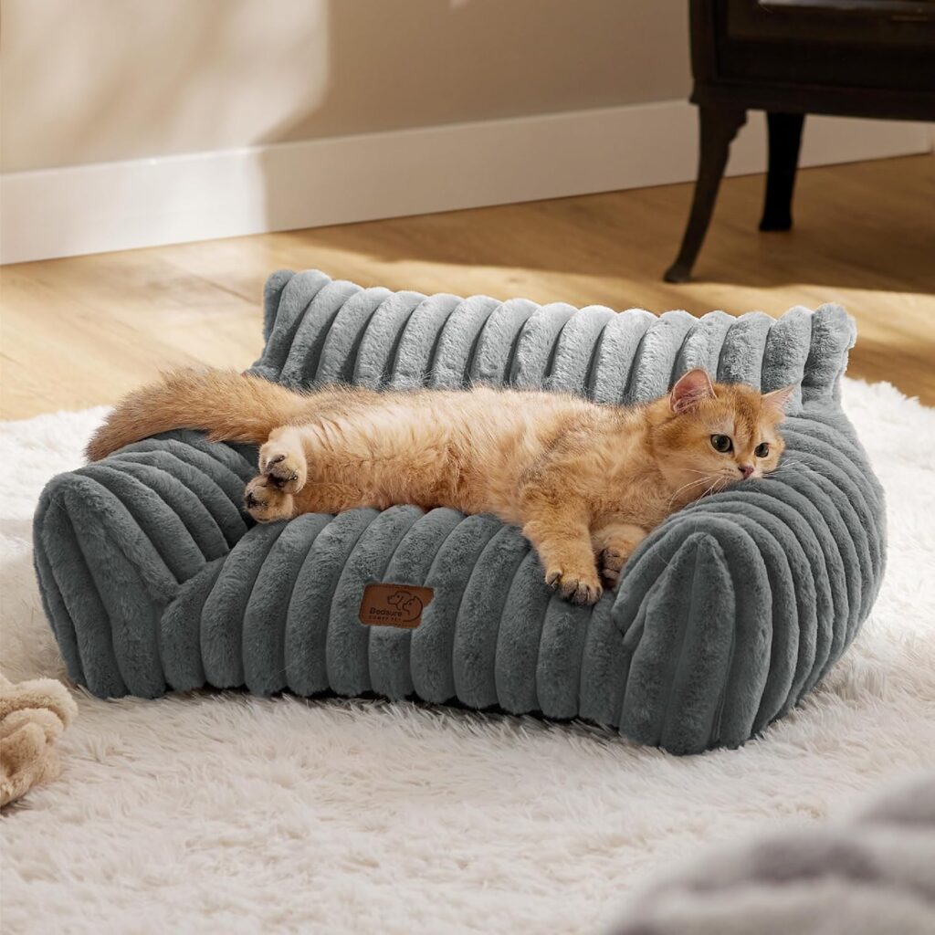 Bedsure orthopedic cat sofa bed for senior cats on a budget