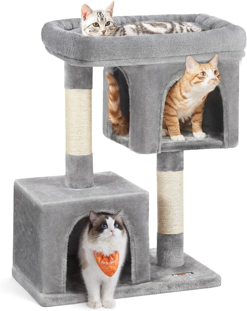 Senior cat using a low-entry indoor cat condo with cushioned orthopedic pads.