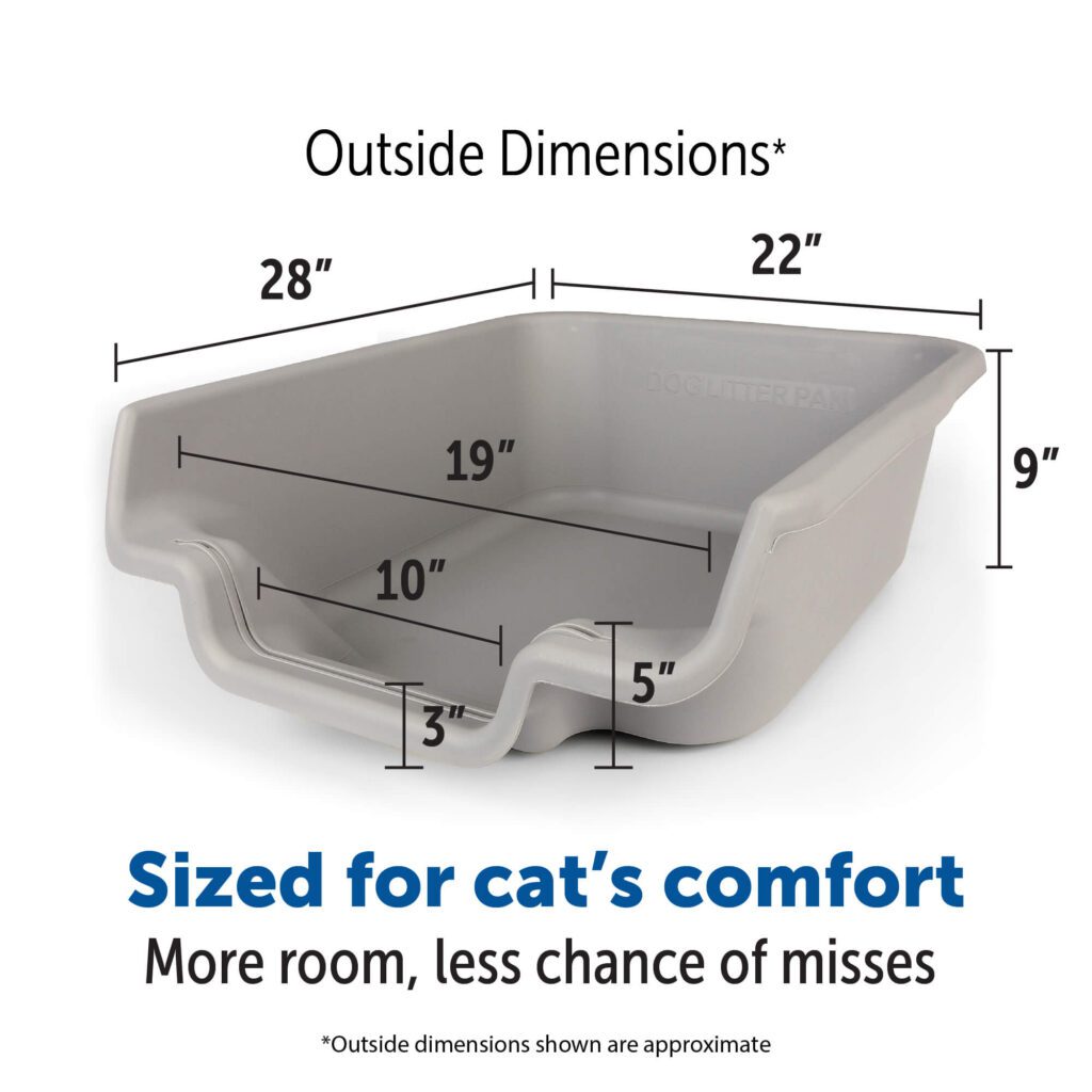 Infographic showing key features of the best litter box for senior cats, including low entry, high sides, non-slip mat, and extra-large interior.