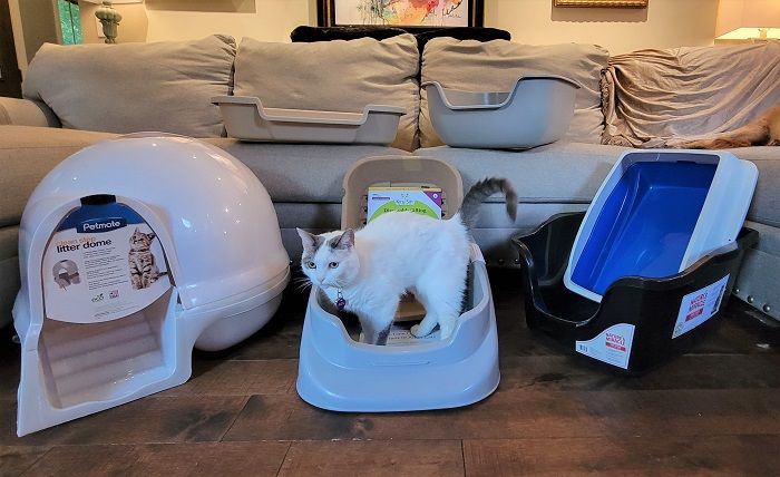 Comparison showing a traditional high-sided litter box versus a low-entry litter box for senior cats.